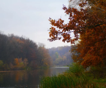 ������� ������� ������.