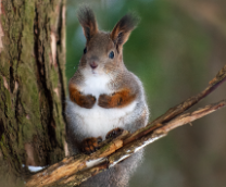 ������� � �����