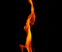 ���� ������� ��������