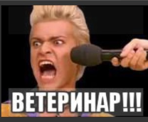 �� ��� � �������� ���� � �����������