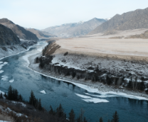 ����� ��������� �����