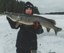 ���� �� �������