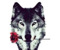 ���, 1 ������..