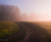 ������ ��������