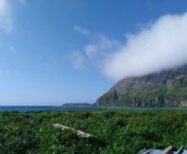 ������������ �������.