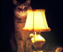 ������� �� �����