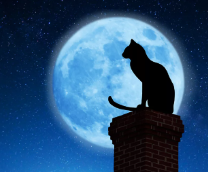 ��� ������