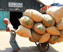 ���� � ���������� � ������������ ����