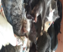 ����-�����