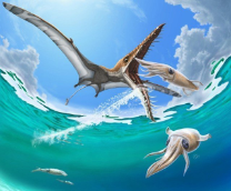 ������������� � ����� ��������