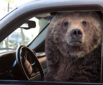 ����� ����� ������