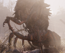 �����. Fallout