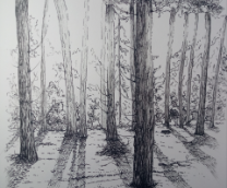 ��� ���� � �������