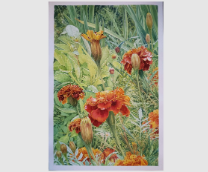 ��������� ������� ���������� @ ��� ����������