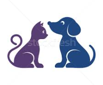 �������� �������� � �����