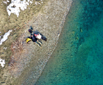 ���� ����������� ���������