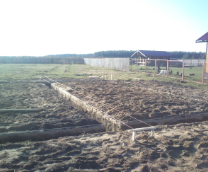 ��� ����������� ���