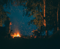 ������������ � ������ ����