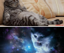 ��� �� ��������