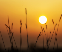 ������� �����-1