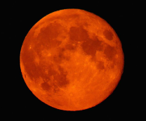 �������� �������