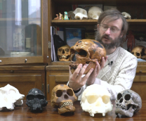 ������������