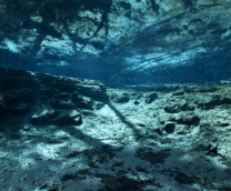 ����� ������� ���� ������