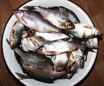 ����� ���� (�����������, ���, �����, ������ � �.�.