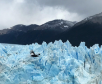 ��������� ��� ��������