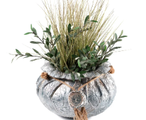 ��� ������ - ������������ �����