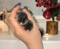 ����������. ������.