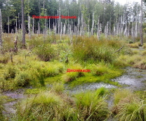 ���������� ������