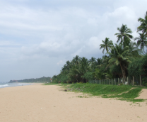 ��� �� �� ���- �����.