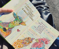 ��������