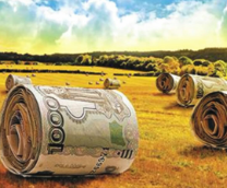 ���� ��� ������ �������