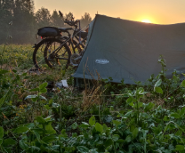 ���� ���