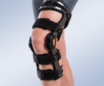 �������� ���