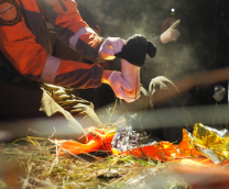 ��������� � ����