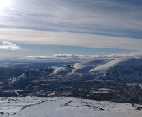 �������� ����������