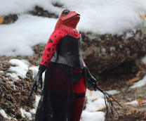 ������� � ����