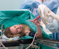 �������������