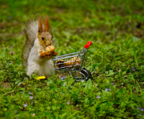 ����� ������