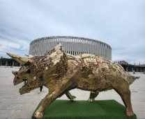 ���� ��������� ���������