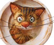 ���� �����