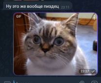 ��� �����