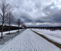 ���� �������.