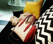 ������ ���������