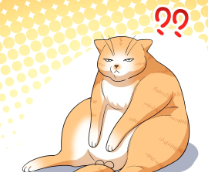 ���� ������ ��� �����, ��� � ��.