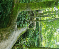 ������� - ���������, �����������, ����!