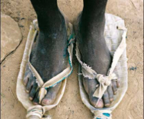 ��� ���� ����������